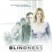 Blindness (2008)