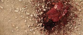 Süreyya Üzerinden İslam’ı Taşlamak