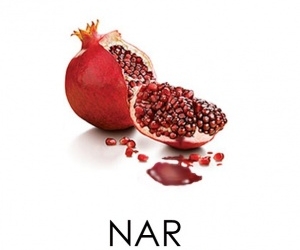 Nar (2011)