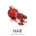 Nar (2011)