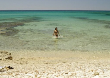 50. Altın Portakal Ulusal Yarışma Filmleri Değerlendirmesi