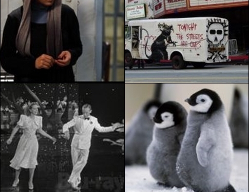 Sine’fil Meydanı 94