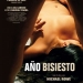 Ano bisiesto (2010)