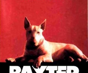 Baxter (1989)