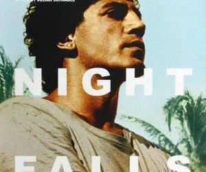 Before Night Falls (2000)