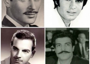 Sine’fil Meydanı 120