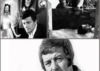 Sine’fil Meydanı 30