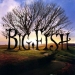 Big Fish (2003)