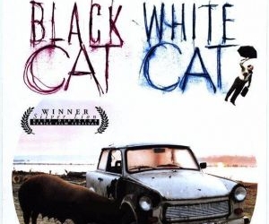 Black Cat, White Cat (1998)