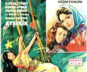 Çalıkuşu (1966)