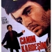 Canım kardeşim (1973)