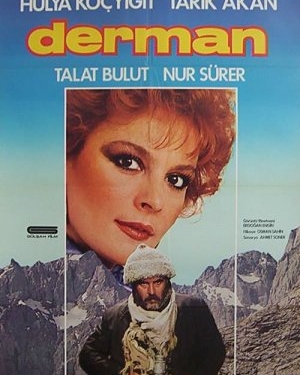 Derman (1984)
