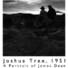 Joshua Tree, 1951: A Portrait of James Dean (2012)