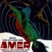 Amer (2009)