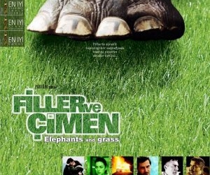 Filler ve Çimen (2001)