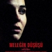 Meleğin Düşüşü (2005)