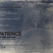 Patience (After Sebald) (2012)