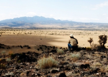 Ed Tom’un Rüyası: No Country For Old Men