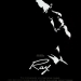 Ray (2004)