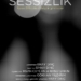 Sessizlik (2011)
