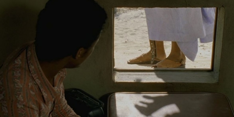 Işığın ve Mutluluğun Peşinde: Waiting for Happiness