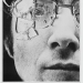 Straw Dogs (1971)