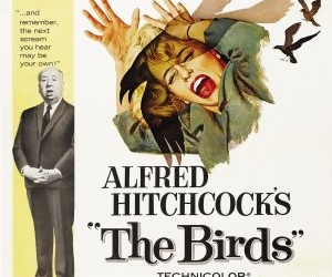 The Birds (1963)