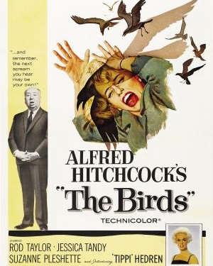 The Birds (1963)
