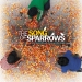 The Song of Sparrows (2008)