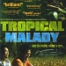 Tropical Malady (2004)