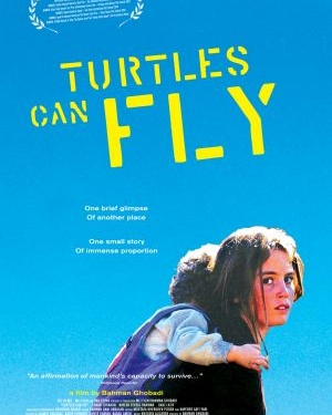 Turtles Can Fly (2004)