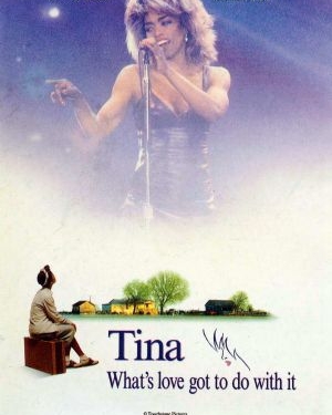 What’s Love Got to Do with It (1993)