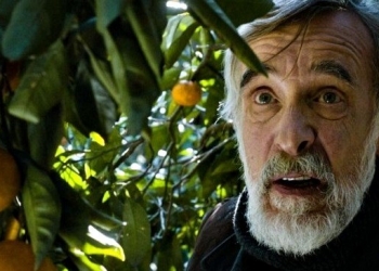 Mandariinid (Tangerines – 2013, Yön: Zaza Urushadze)