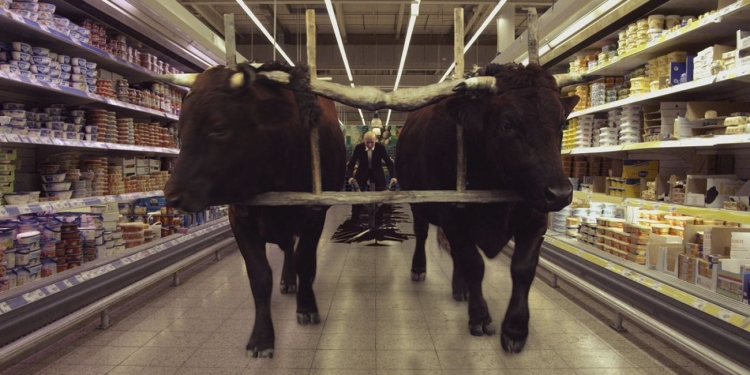 Psie Pole (Field of Dogs – 2013, Yön: Lech Majewski)