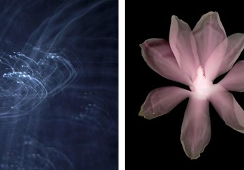 Barbara ve Zafer Baran: Retrospektif