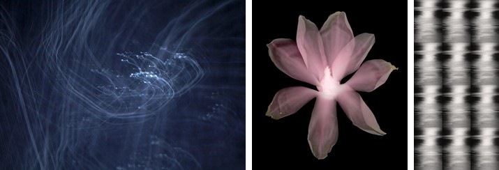 Barbara ve Zafer Baran: Retrospektif