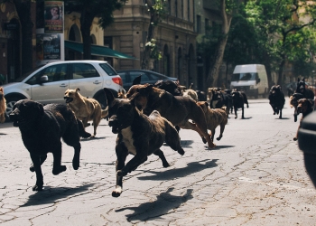 Cannes’da Belirli Bir Bakış Bölümü Ödülleri Dağıtıldı