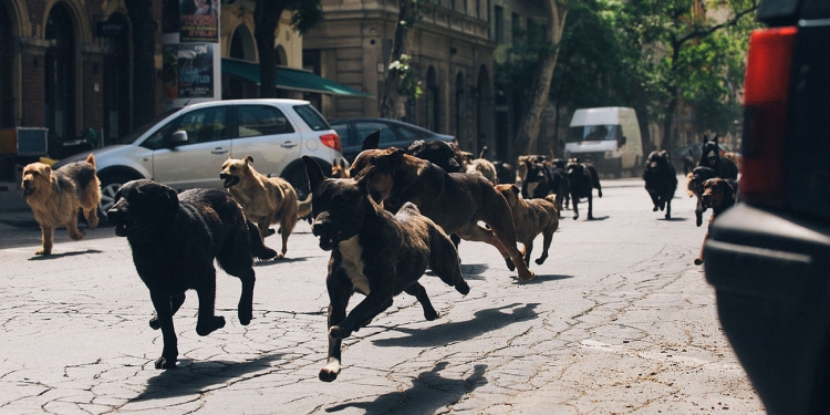 Cannes’da Belirli Bir Bakış Bölümü Ödülleri Dağıtıldı