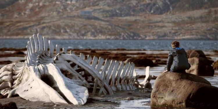 13. FİLMEKİMİ  11-17 Ekim Tarihlerinde İstanbul’da