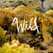 Wild Filminden İlk Trailer!