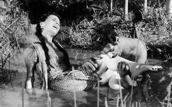 Türk Sinemasının En İyi Filmi ”Susuz Yaz” Seçildi!