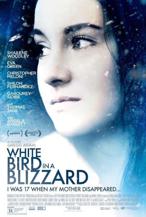 white-blizzard-poster