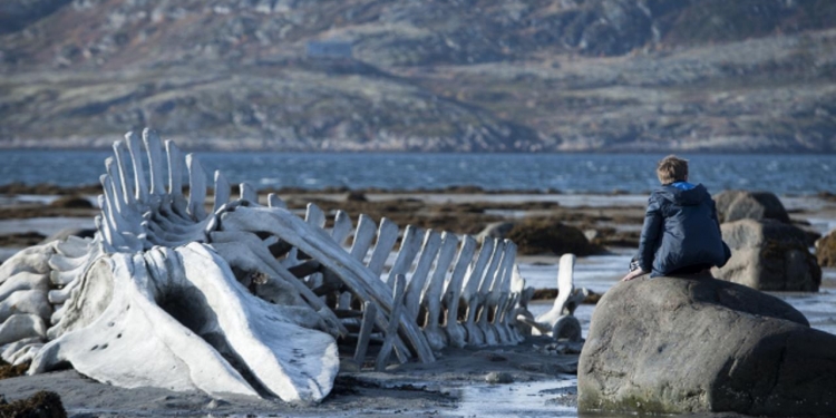Leviathan (2014, Yön: Andrey Zvyagintsev)