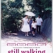 Still Walking (2008)