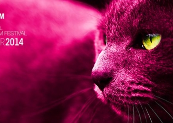 15. Uluslararası İzmir Kısa Film Festivali Yarışma Filmleri Belli Oldu