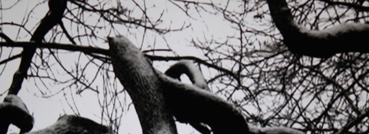 Sinematik Mektuplar Bir Yönetmenden Diğerine