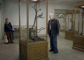 İyi Diyelim, İyi Olalım: A Pigeon Sat on a Branch Reflecting on Existence