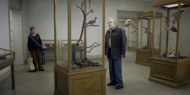 İyi Diyelim, İyi Olalım: A Pigeon Sat on a Branch Reflecting on Existence