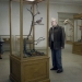 İyi Diyelim, İyi Olalım: A Pigeon Sat on a Branch Reflecting on Existence