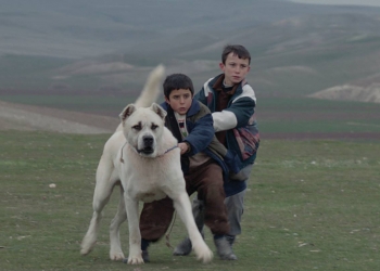 Sivas’a İki Önemli Ödül Daha!
